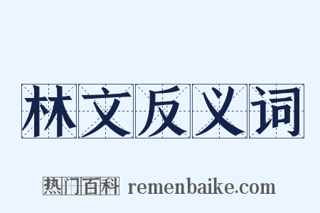 林文反义词是什么意思的图片